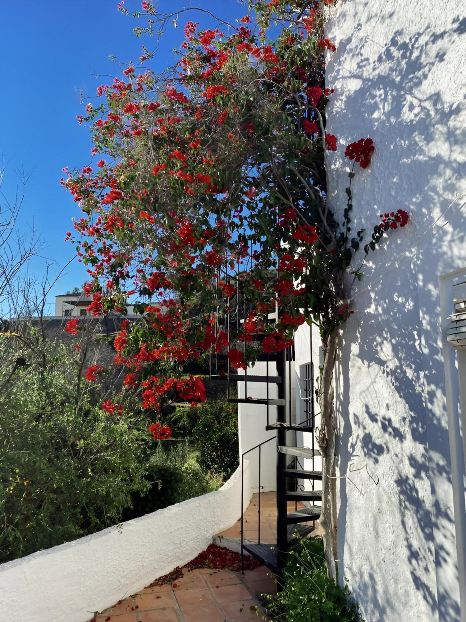 Cortijo De La Fuente Con Vistas Impresionantes Y Playas A 20 Minutos Villa Bédar Exterior foto